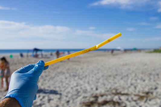 How to Reduce Your Plastic Footprint: Practical Tips for Everyday Life