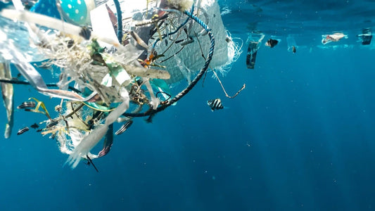 The Impact of Ocean Pollution: What You Need to Know